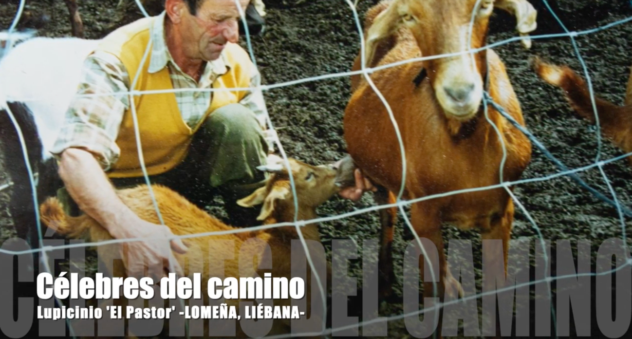 Lupicino, pastor de la zona de Liébana