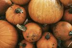 halloween pumpkin pile close up background