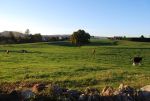 camino de santiago, camino del norte, miengo, otoño 2016