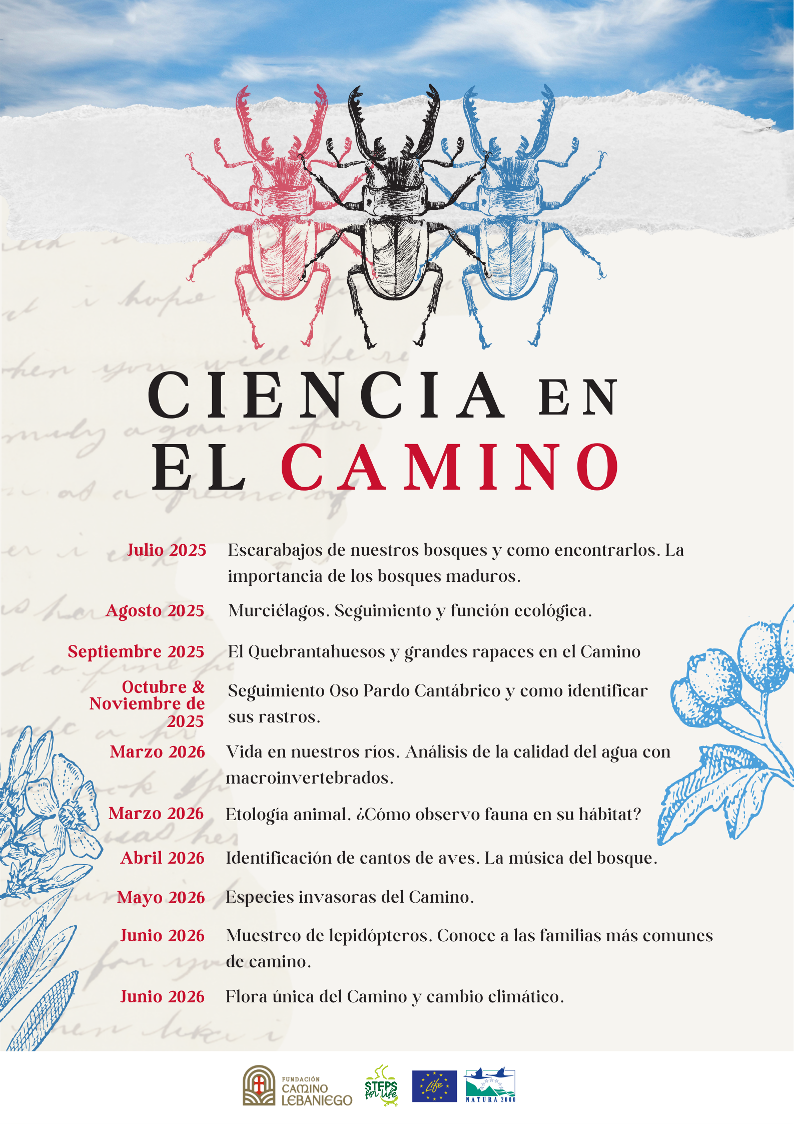 monochrome20simple20illustrated20biology20sea20shell20poster202