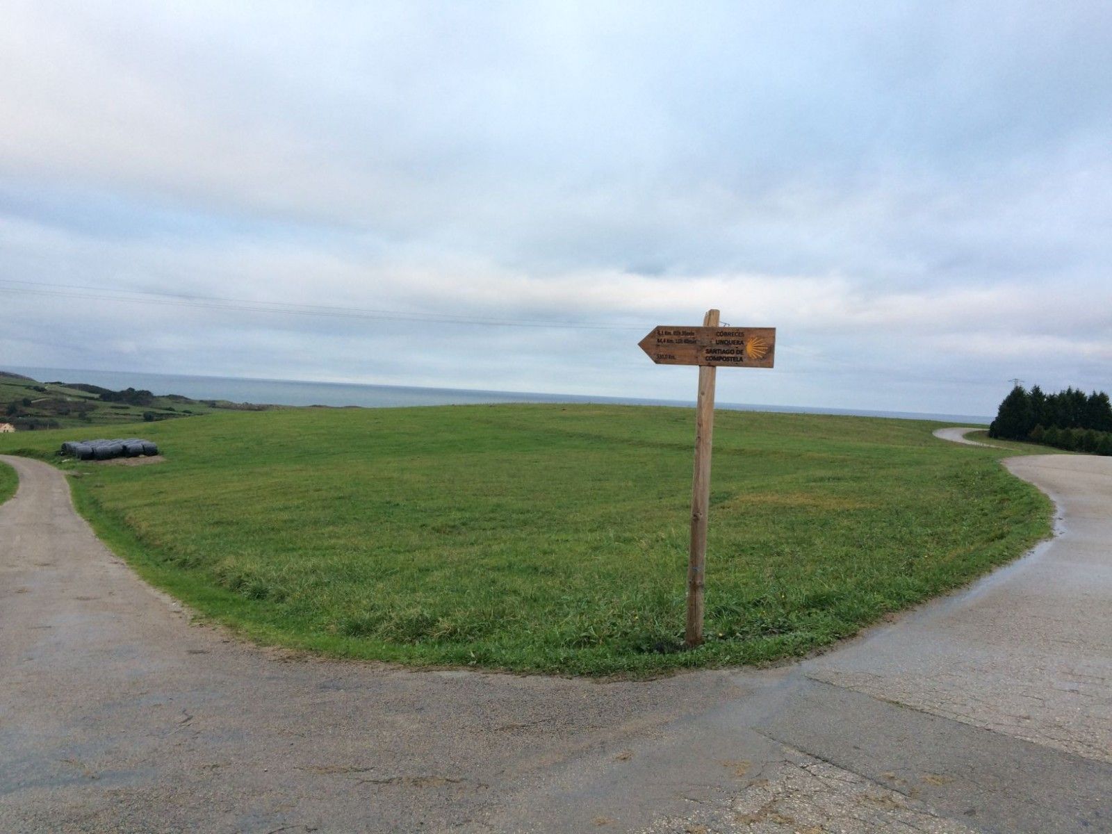 ciguenza camino del norte cantabria