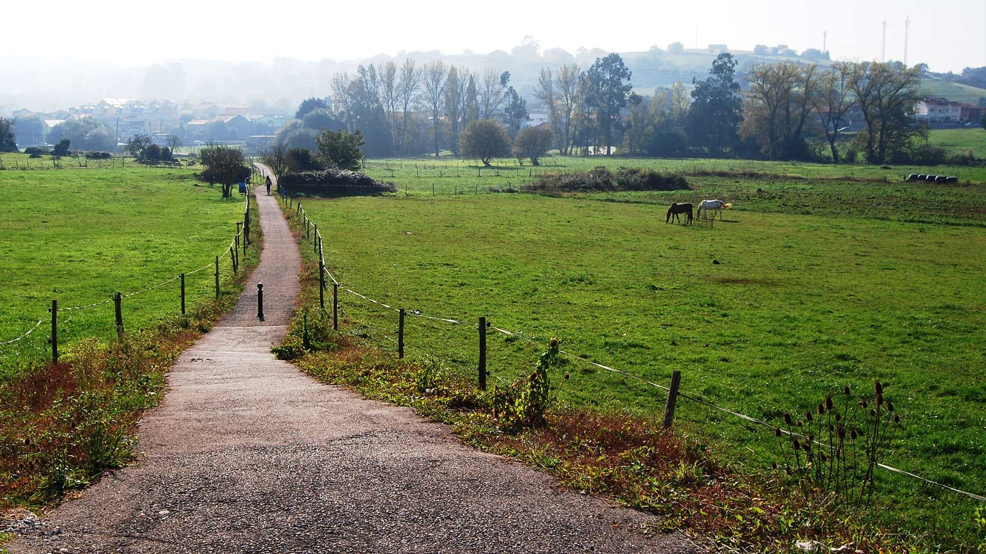 Camino del Norte en Santander