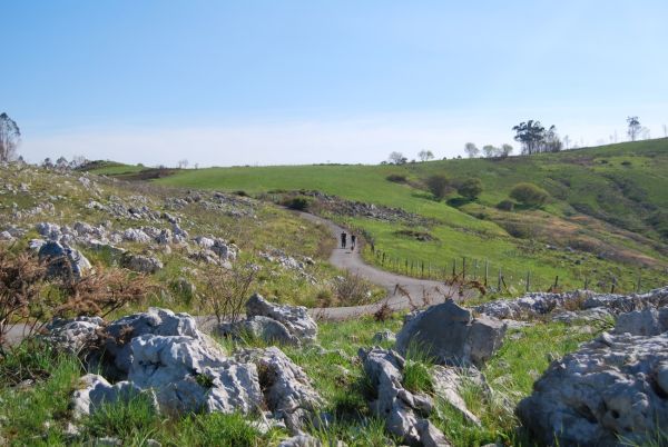 Camino de Santiago  Laredo